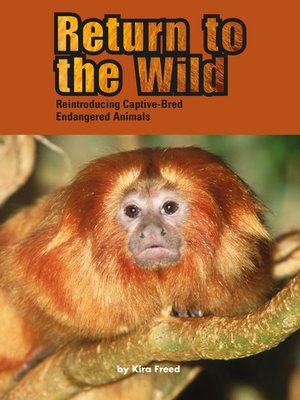cover image of Return to the Wild: Reintroducing Captive-Bred Endangered Animals